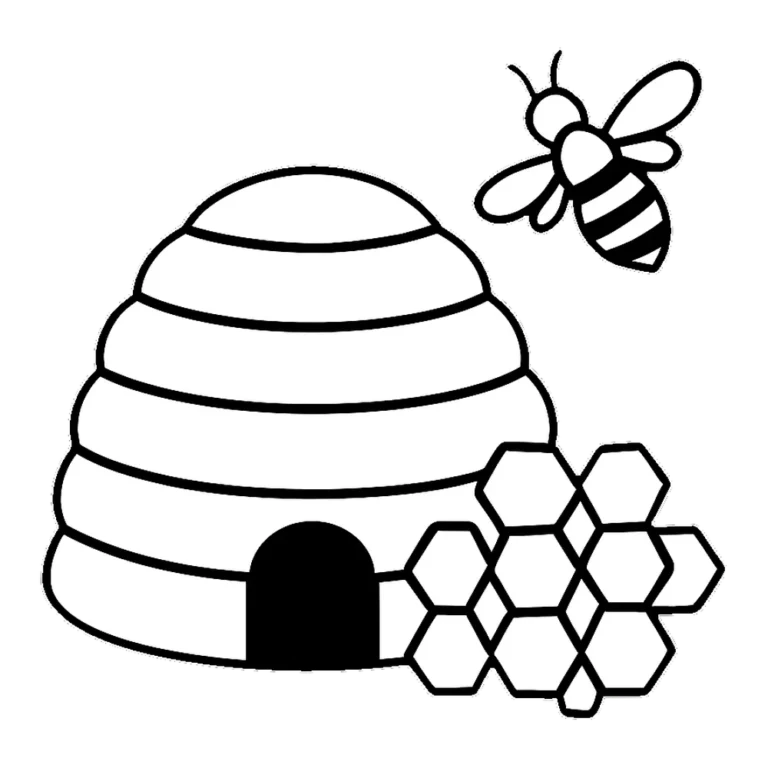 Bee hive and honeycomb clip art outline in black and white for coloring