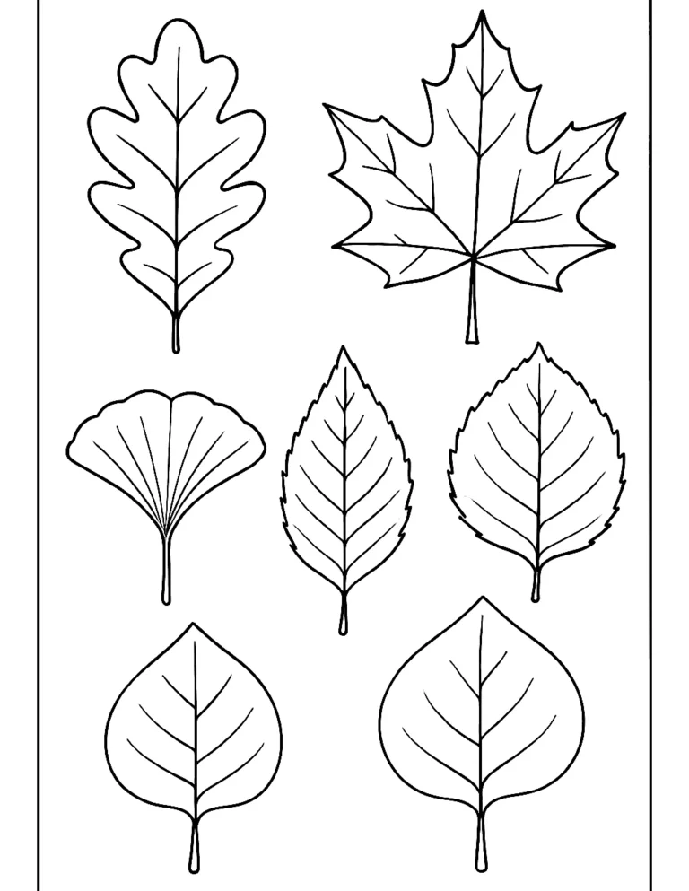 Leaf coloring page with oak, maple, birch and ginkgo leaves laid out in rows