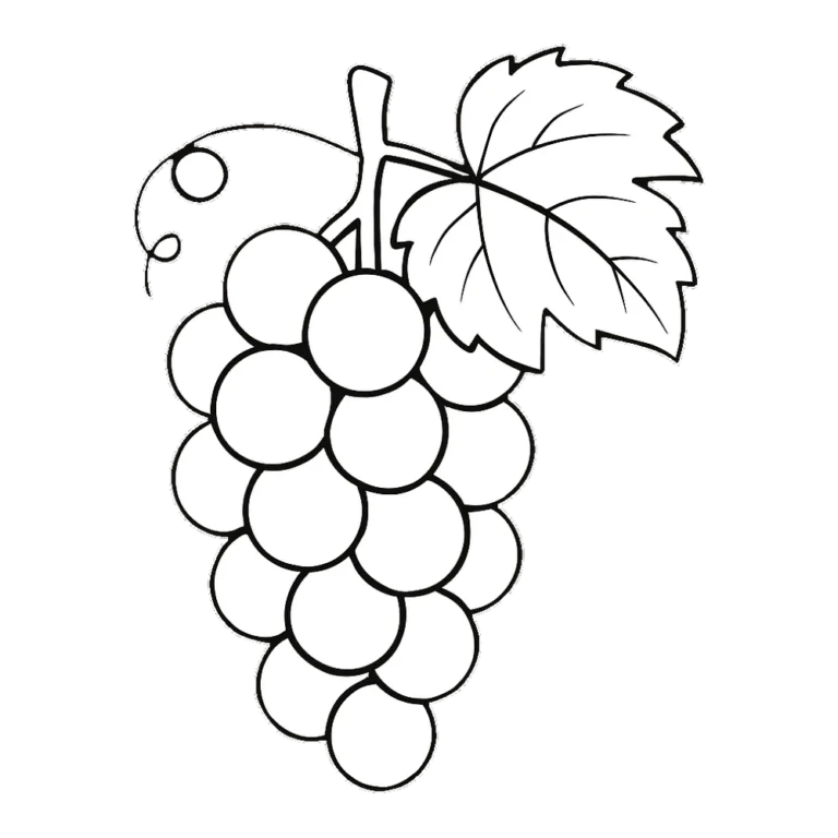 Grapes clipart black and white outline of a grape bunch with a leaf and tendril