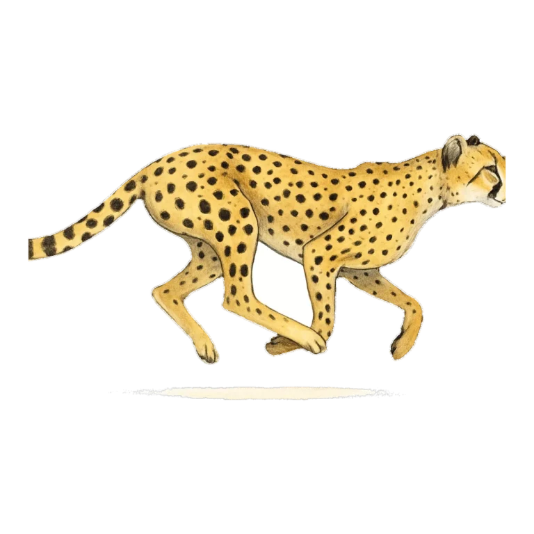 Cheetah clipart in watercolor of a slim cheetah running at full speed
