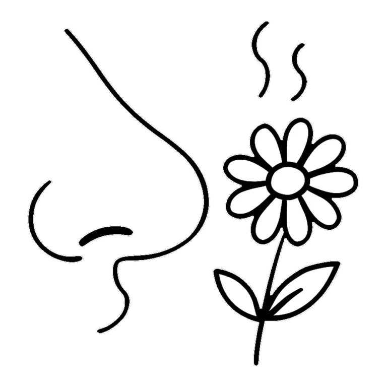 Nose clipart black and white outline of a cartoon nose sniffing a small flower