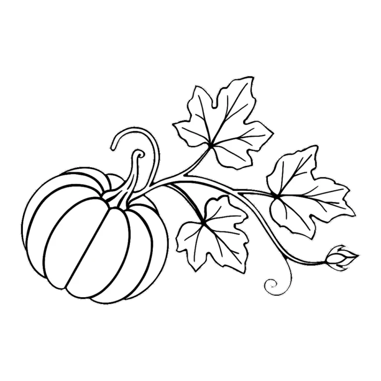 Pumpkin vine clipart black and white of a pumpkin with curly tendrils and leaves