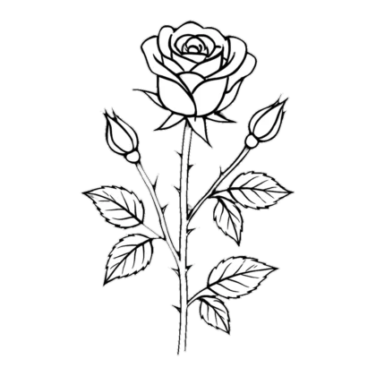 Rose flower clipart black and white of a long stem with one bloom and two buds