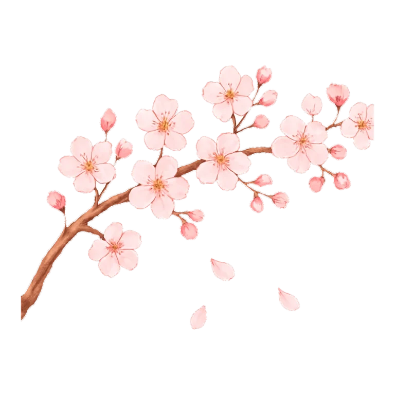 Cherry blossom clipart in watercolor of a curved branch with pink flowers and buds