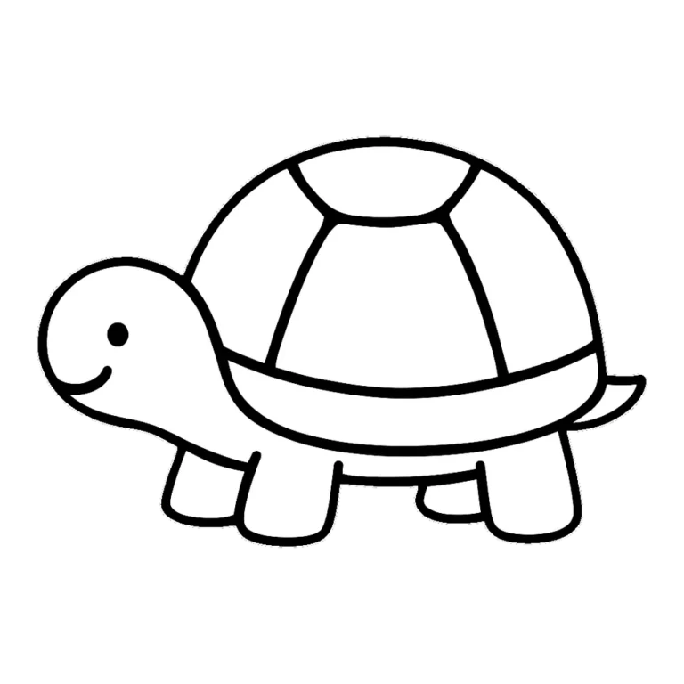 Easy turtle clipart black and white outline with big shell shapes to color